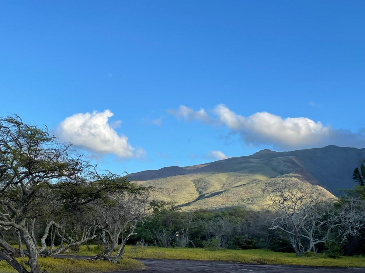 Apartmán Ka Hale Kealoha Kaunakakai Exteriér fotografie