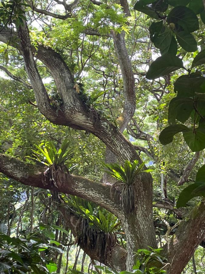 Apartmán Ka Hale Kealoha Kaunakakai Exteriér fotografie